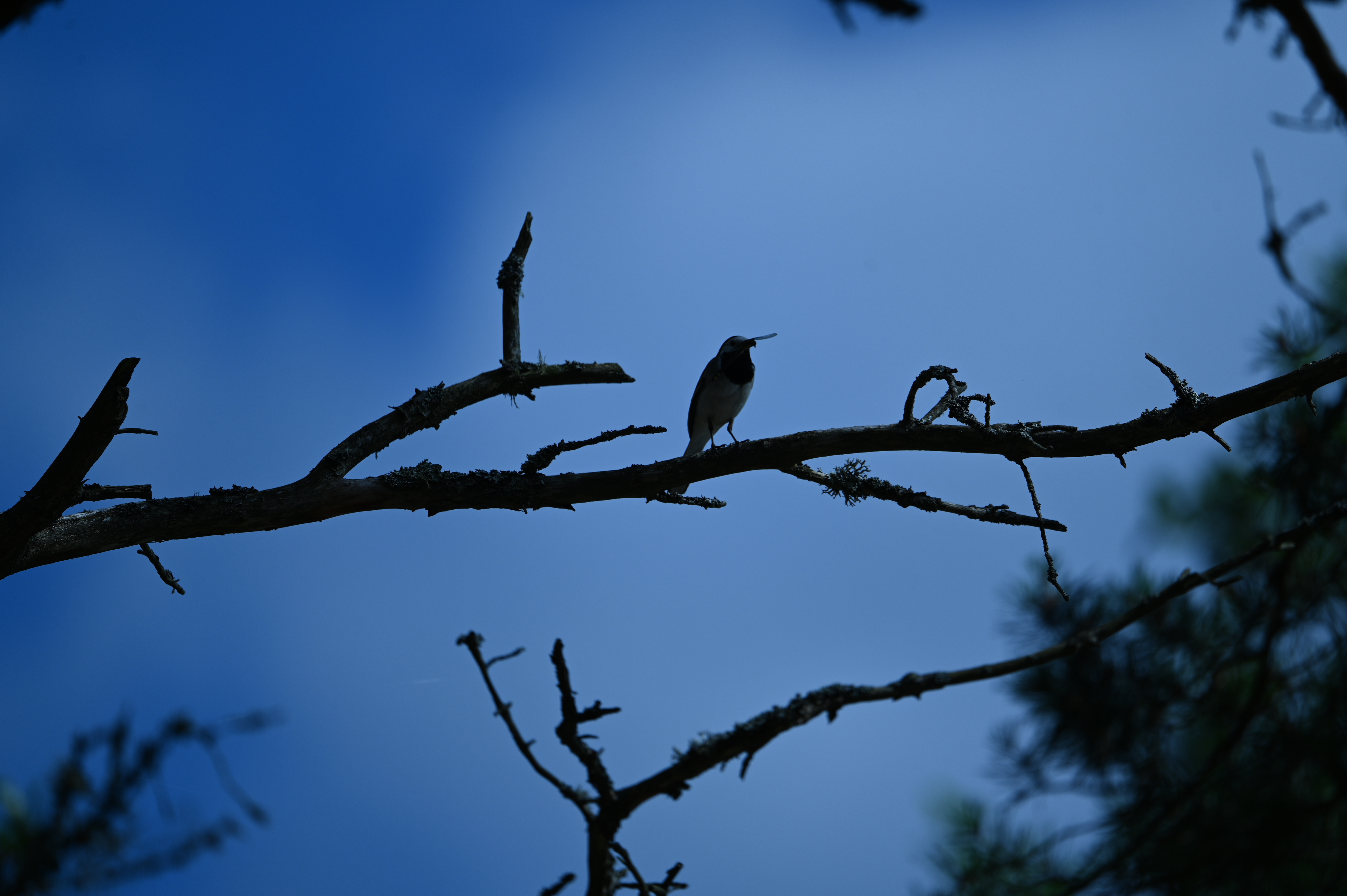 2025/07/09-14 - trip/DSC_0466.JPG